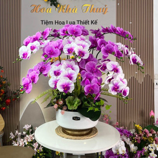 Chậu hoa lan cao su cao cấp - 12 cành cao cấp, chậu cắm hàng nhập
