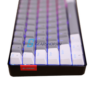 Bàn Phím E-DRA EK384 Triple Mode Alpha / Beta