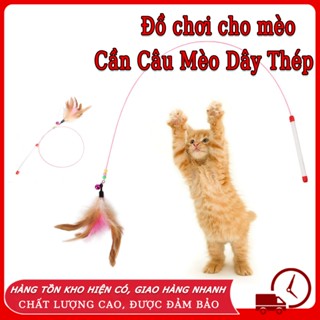 Đồ chơi cho mèo - Cần Câu Mèo Dây Thép Đồ chơi cần câu mèo gắn lông vũ Đồ chơi mèo cần câu mèo Đồ Chơi Cần Câu Cho Mèo