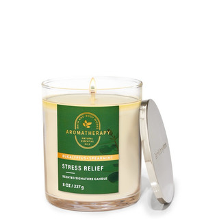 Nến thơm 1 tim thư giãn Bath & Body Works Aromatherapy Stress Relief Eucalyptus + Spearmint