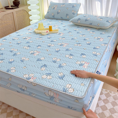 Bộ Chiếu Cao Su Bọc Chun Bo Decor đủ size nhiều mẫu mã tặng kèm 2 vỏ gối