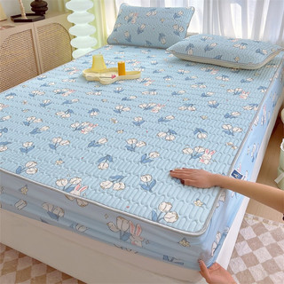 Bộ Chiếu Cao Su Bọc Chun Bo Decor đủ size nhiều mẫu mã tặng kèm 2 vỏ gối