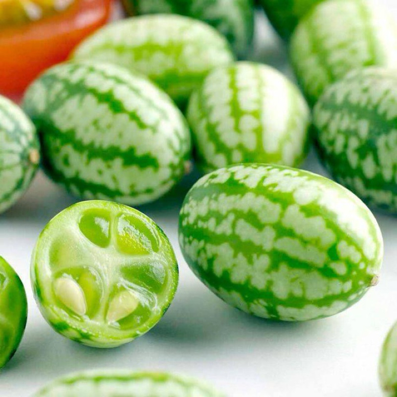 Hạt Giống Dưa Hấu Tí Hon
