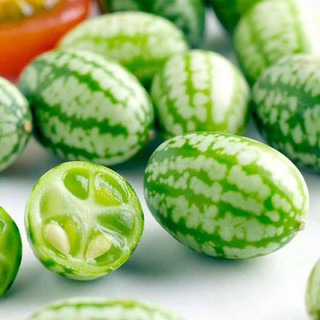 Hạt giống dưa hấu tí hon
