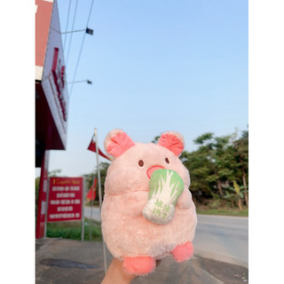 Gấu bông heo ôm cải thảo