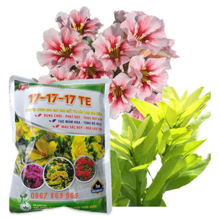 Phân npk 17 17 17 +te bình điền,gói 1kg