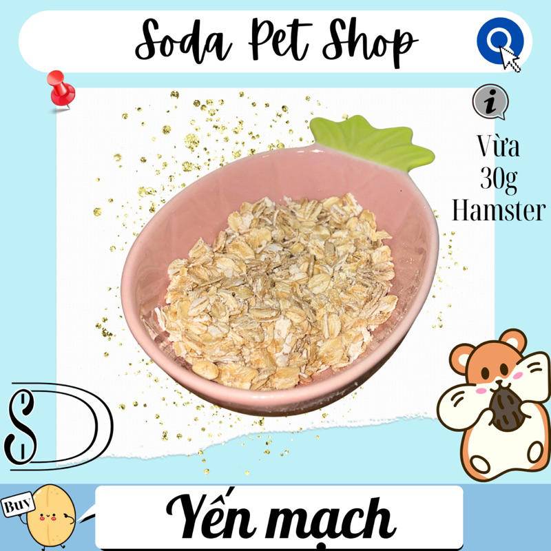 Yến Mạch Cho Hamster