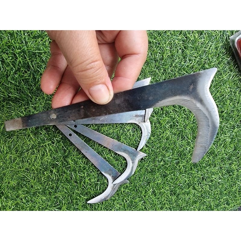 cu liêm  dựt  tỉa hoa sầu riêng,mít (dụng  cụ làm vườn)