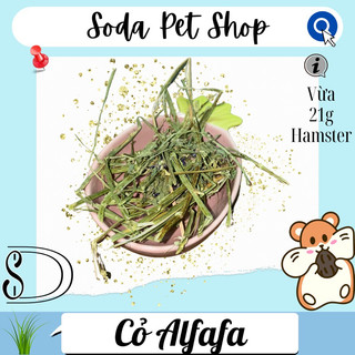 Cỏ Khô Alfafa Cho Hamster/Thú Cưng Nhỏ