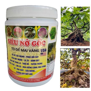 Phân bón Siêu nở gốc to đế mai vàng usa 500gram kích rễ bung đọt nở gốc to đế