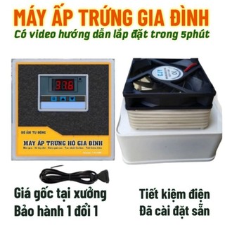 Máy ấp đã chỉnh sẵn nhiệt độ - Bảo Hành 2 Năm