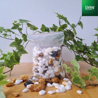 Sỏi trang trí đã rửa sạch, sỏi trang trí chậu cây, bể cá, sân vườn, sỏi nhiều màu 500g | Living Decor