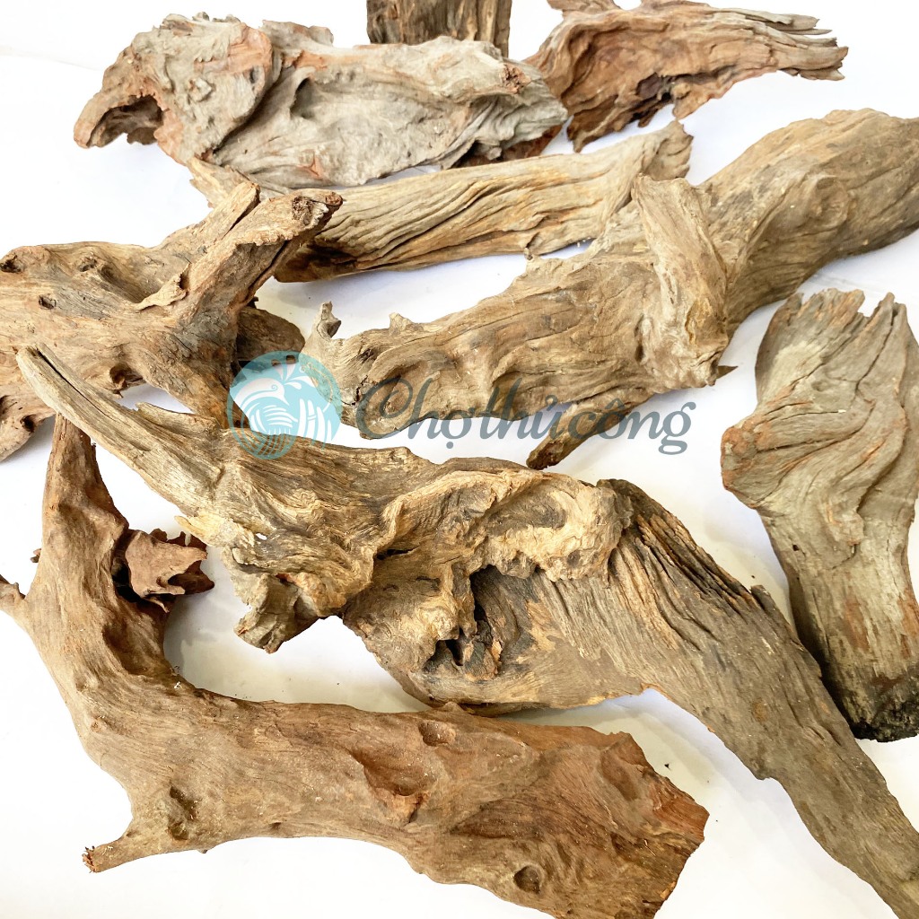 Gỗ lũa thủy sinh tự nhiên, gỗ lũa ghép lan, chậu gỗ lũa trồng sen đá, lũa decor vintage (phát mẫu ng