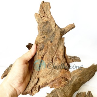 Gỗ lũa thủy sinh tự nhiên, gỗ lũa ghép lan, chậu gỗ lũa trồng sen đá, lũa decor vintage (phát mẫu ngẫu nhiên)