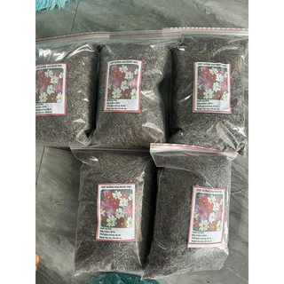 1KG hạt giống hoa cúc cánh bướm nhiều màu (hạt giống sao nháy)