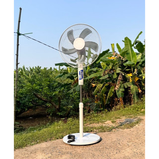 Quạt cây tích điện Solar Fan - quạt sạc , động cơ không chổi than (ko kèm panel năng lượng mặt trời)