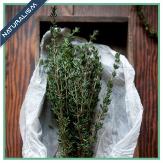 5 cành Thyme Xạ Hương - Tươi/Khô - Organic