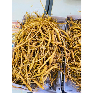 500gram rễ sâm tươi hàn quốc dùng hầm gà, nấu súp, hãm trà