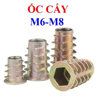 Ốc cấy có tai m6, m8, m10