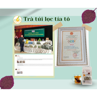 Trà tía tô (túi lọc)
