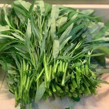 20g hạt giống rau muống thái siêu đẻ nhánh