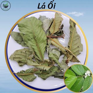 Lá ổi, túi 500g và 1kg lá xanh phơi khô, hàng mới