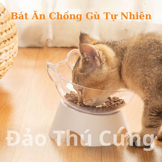Bát ăn đơn cho thú cưng có đế nghiêng chống gù – Chén ăn dễ thương cho chó mèo