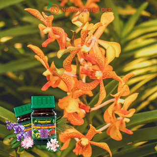 Phân Cá PowerFeed Chai 100ml - Phân Hữu Cơ, KHÔNG HÔI