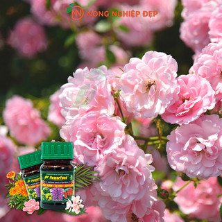 Phân Cá PowerFeed Chai 100ml - Phân Hữu Cơ, KHÔNG HÔI