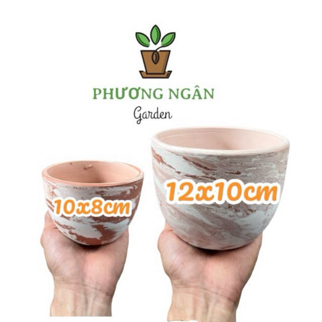 Chậu Đất Nung Trứng 10cm-12cm