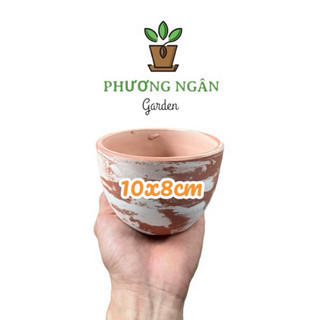 Chậu Đất Nung Trứng 10cm-12cm