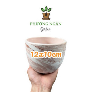 Chậu Đất Nung Trứng 10cm-12cm