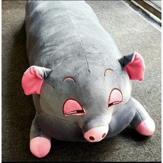 Gấu bông heo hồng, heo ngủ gật, heo mắt hồng,heo mắt híp chất liệu miniso 4 chiều size 1m1