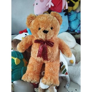 Gấu bông teddy size 55-60cm
