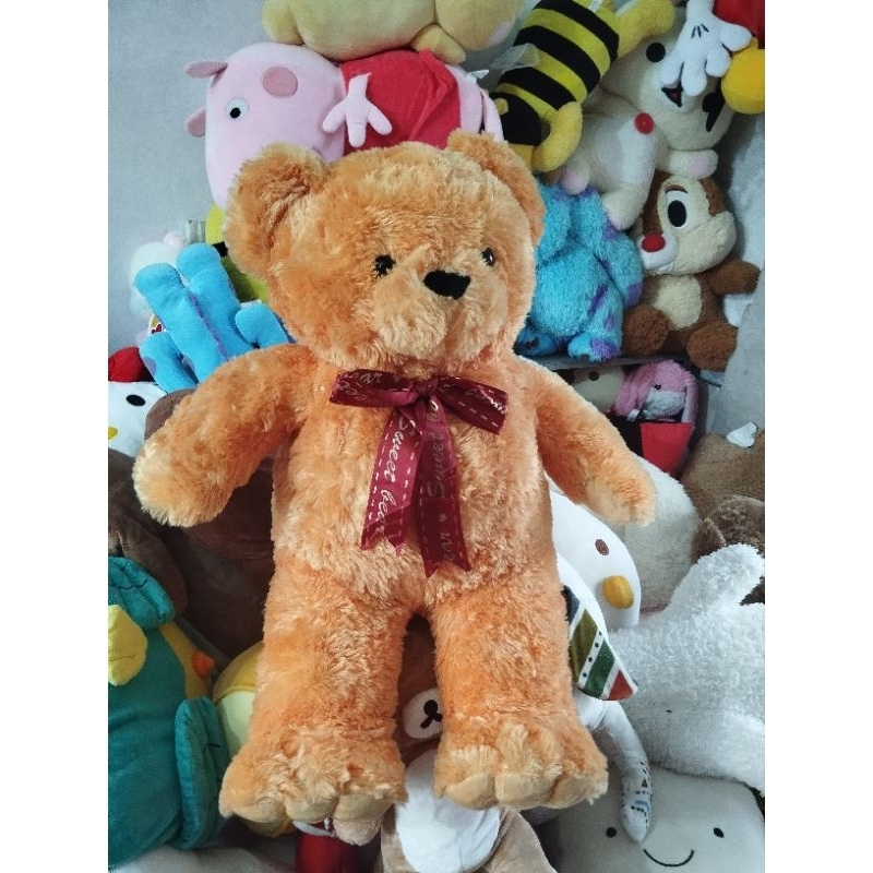 Gấu bông teddy size 55-60cm