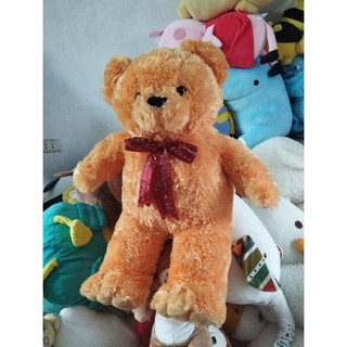 Gấu bông teddy size 55-60cm