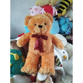 Gấu bông teddy size 55-60cm