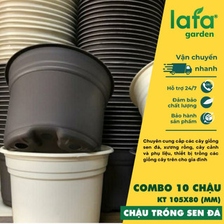 Chậu trồng cây sen đá LAFAGARDEN kích thước 105x80mm