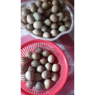 Combo 50 Trứng chim Trĩ giàu dinh dưỡng dùng để ăn