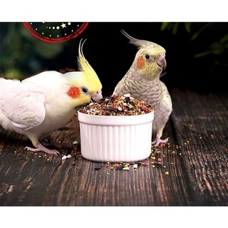  Hạt trộn cho vẹt Lovebird CockTaile Yến Phụng và các dòng vẹt nhỏ và vừa Gói 0,5Kg 1kg 2,5Kg 