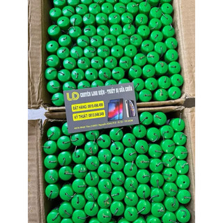Chì Hàn Cell Pin