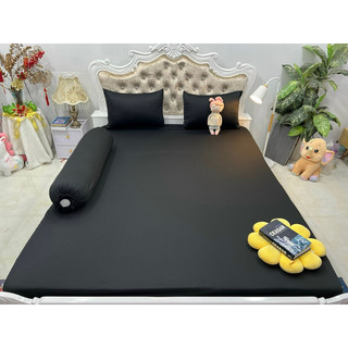 Bộ Drap thun A+ Hàn Quốc 4 món