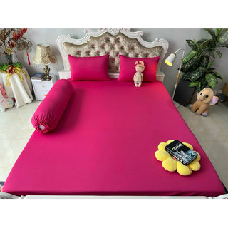 Bộ Drap thun A+ Hàn Quốc 4 món