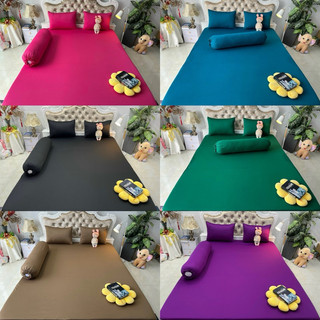 Bộ drap thun a+ hàn quốc 4 món