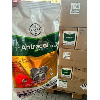THUỐC TRỪ BỆNH CHO CÂY TRỒNG ANTRACOL 70WG_500G