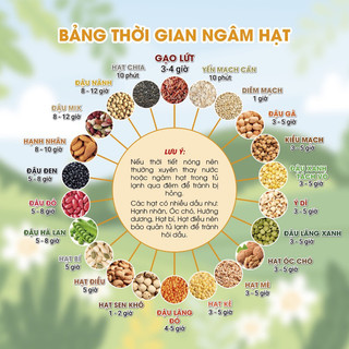 Set hạt nấu sữa mix sẵn