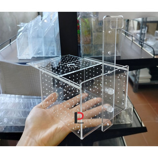 Lồng mica tách cá- tép/Lồng dưỡng cá
