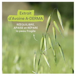 Sữa tắm gội Aderma Primalba