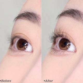 Chuốt mi Etude Curl Fix Mascara