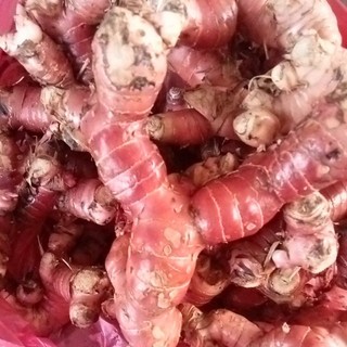 1kg Củ Riềng Đỏ khô